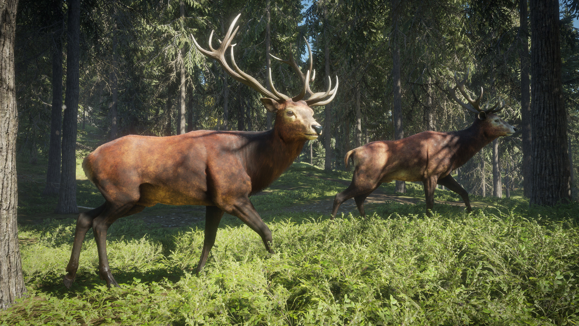 theHunter: Call of the Wild™ screenshot 13