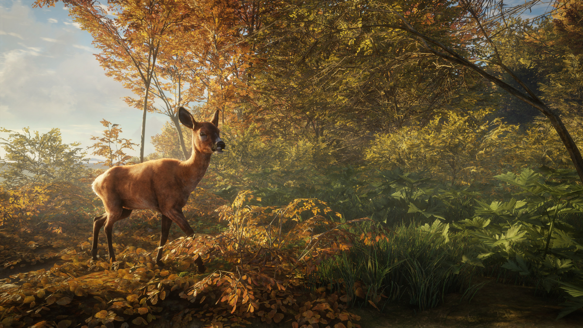theHunter: Call of the Wild™ screenshot 11
