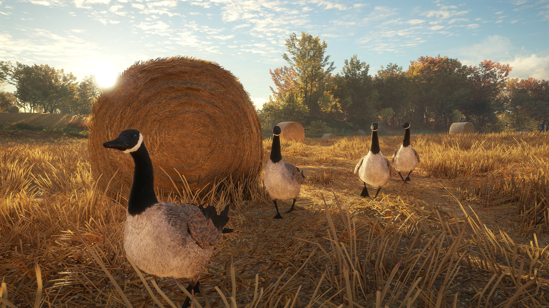 theHunter: Call of the Wild™ – Screenshot 11