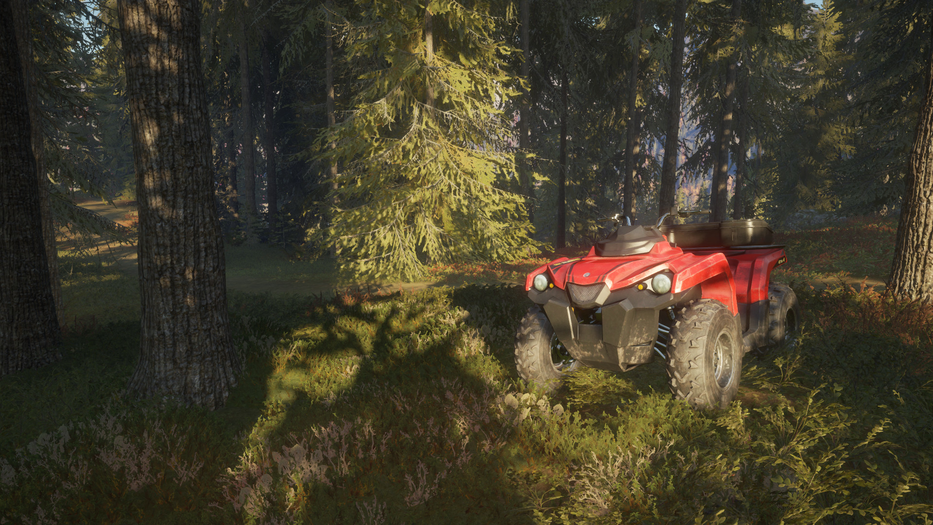 screenshot-17