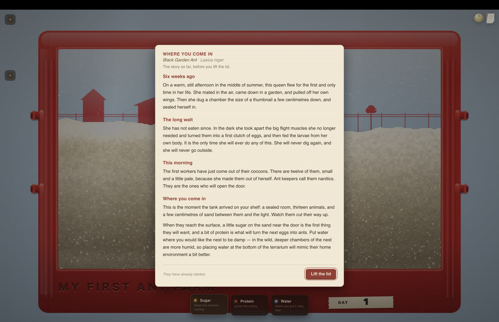 My First Ant Farm screenshot 4