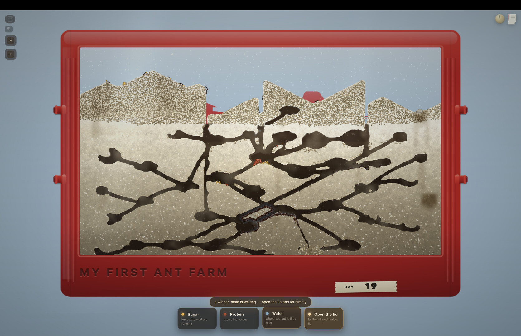 My First Ant Farmのスクリーンショット 1