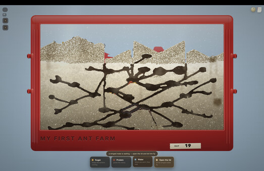 My First Ant Farm screenshot 1