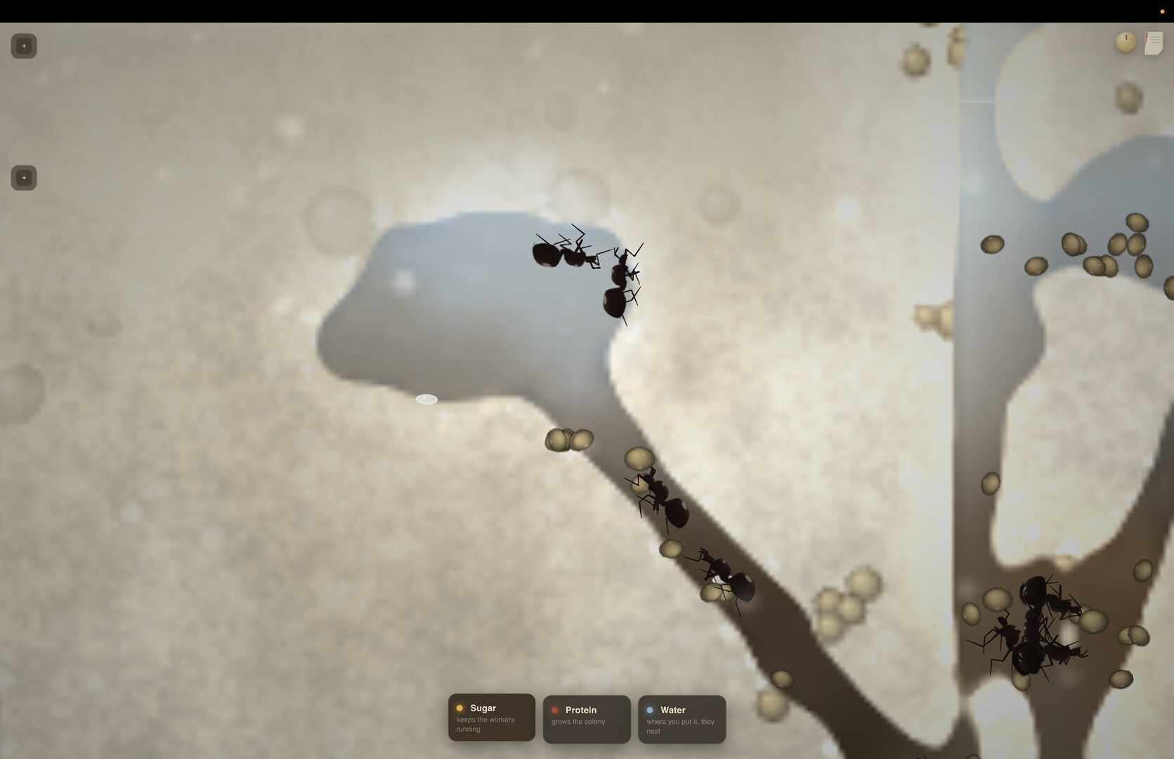 My First Ant Farm screenshot 5