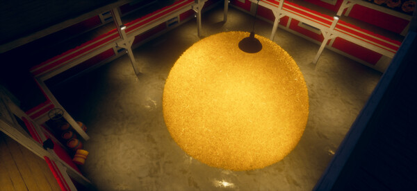 CO-OP Needle Hunt: A Needle in a Haystack Challenge screenshot 1