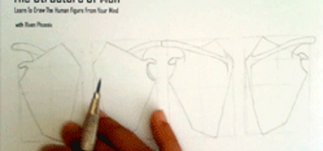 Complete Figure Drawing Course HD: 027 - The Fitting of Scapula on Chest Cavity