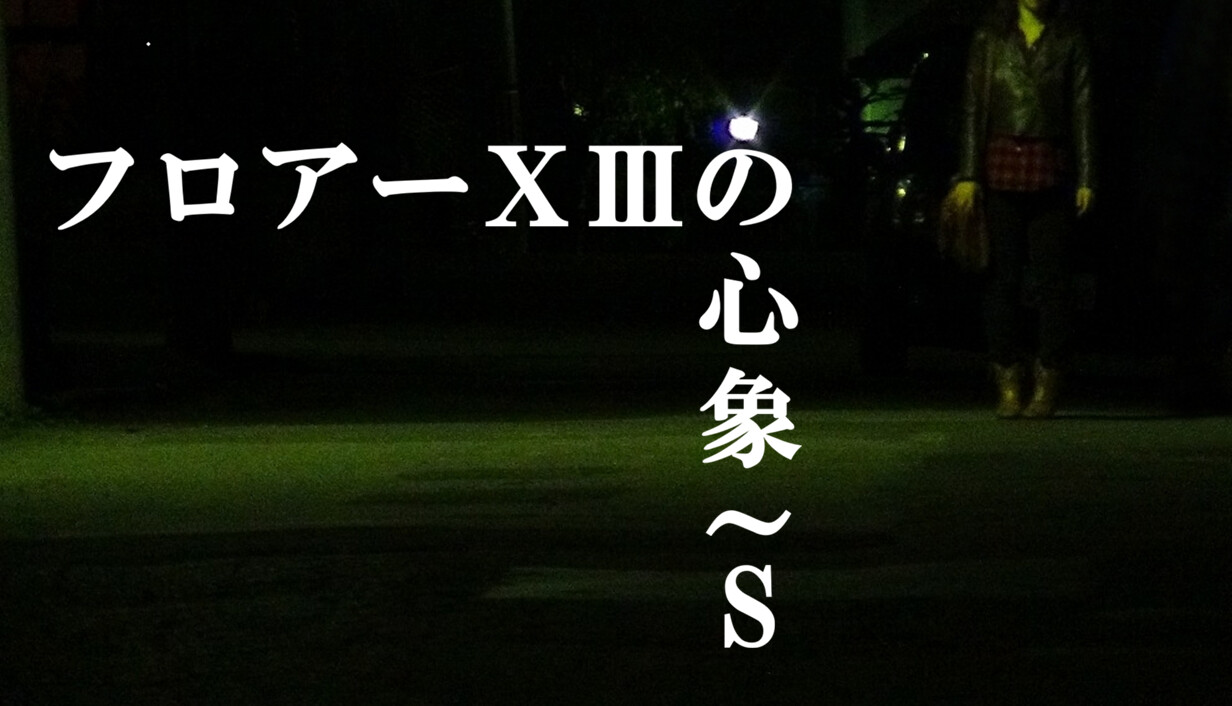 フロアーⅩⅢの心象~S cover art