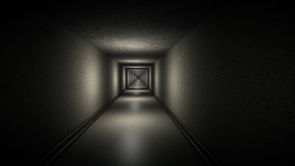 Observation Protocol: The Observed Demo screenshot 2