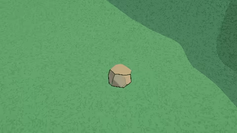 Wild Symbiosis video 3
