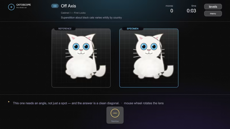 Catoscope video 2