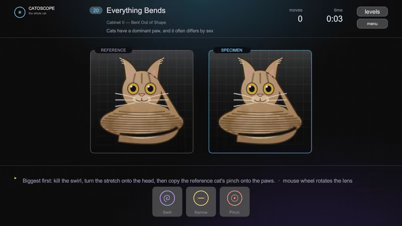 Catoscope video 1
