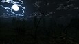 Screenshot #12