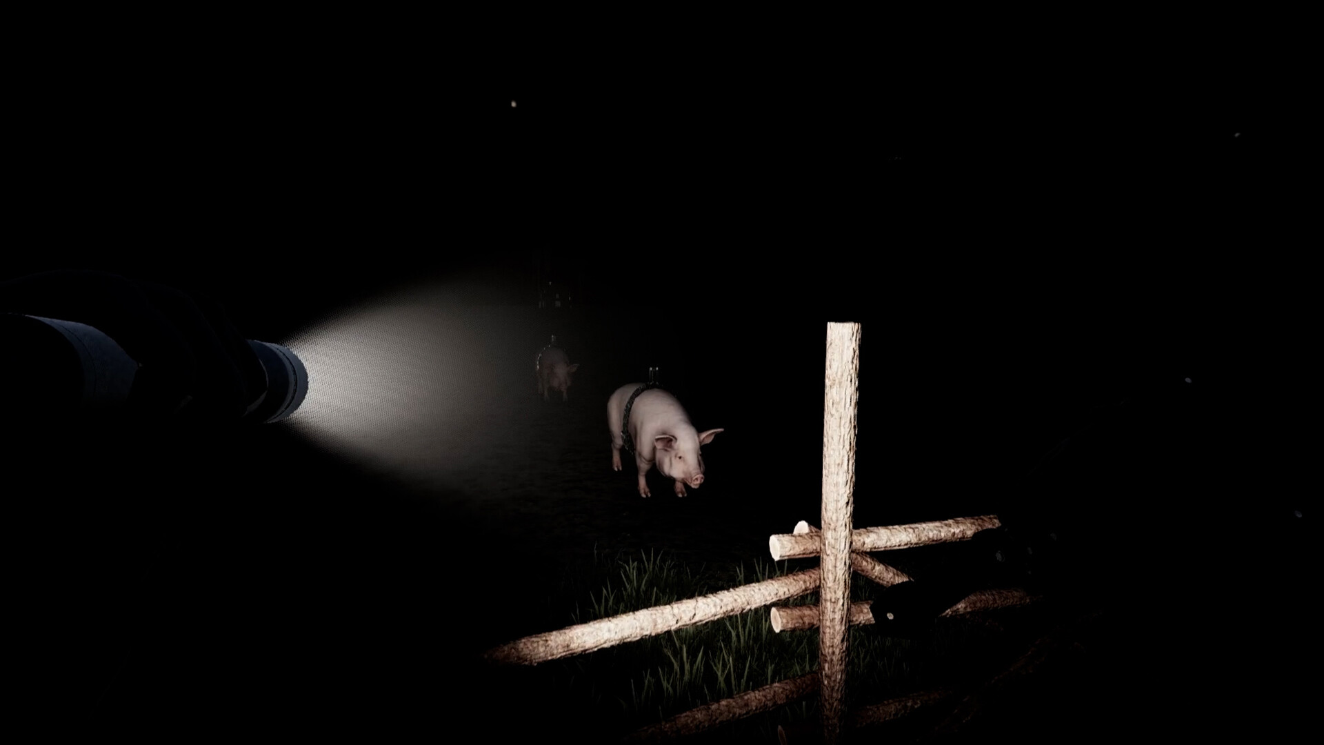 The Boogeyman screenshot #5