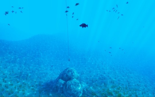 The Fishing Club 3D: Co-op Sport Angling