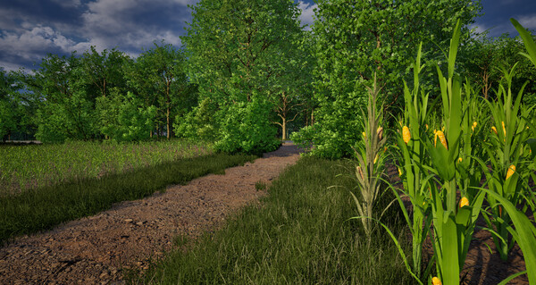 Last Acre — 12