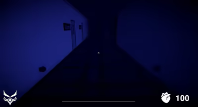 Owl Case video 5