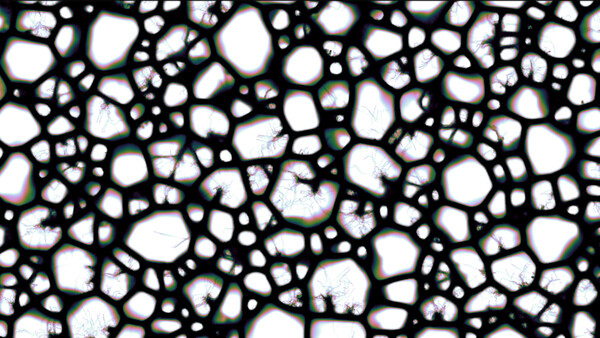 Vizza Demo screenshot 5