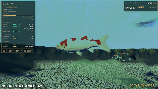 Koi Oasis screenshot 6