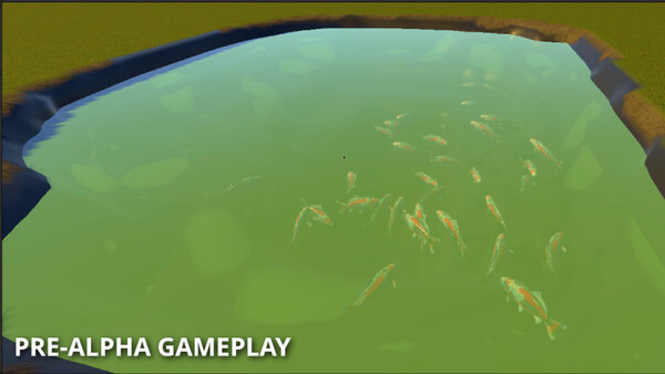 Koi Oasis — 7
