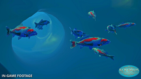 Koi Oasis — 6