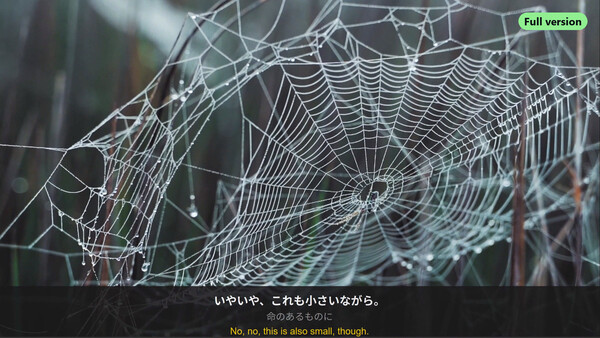 RealSub Full Version screenshot 6