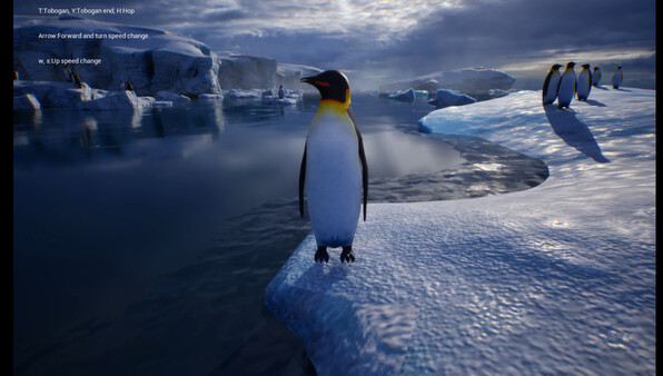 Life of a Penguin 스크린샷 1