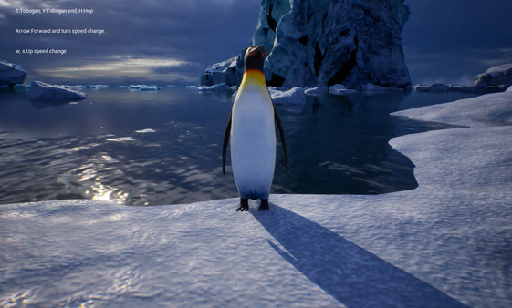 Life of a Penguin 스크린샷 3