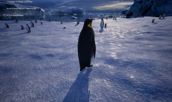 Life of a Penguin 스크린샷 4