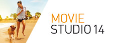 VEGAS Movie Studio 14 Steam Edition Small Capsule Image