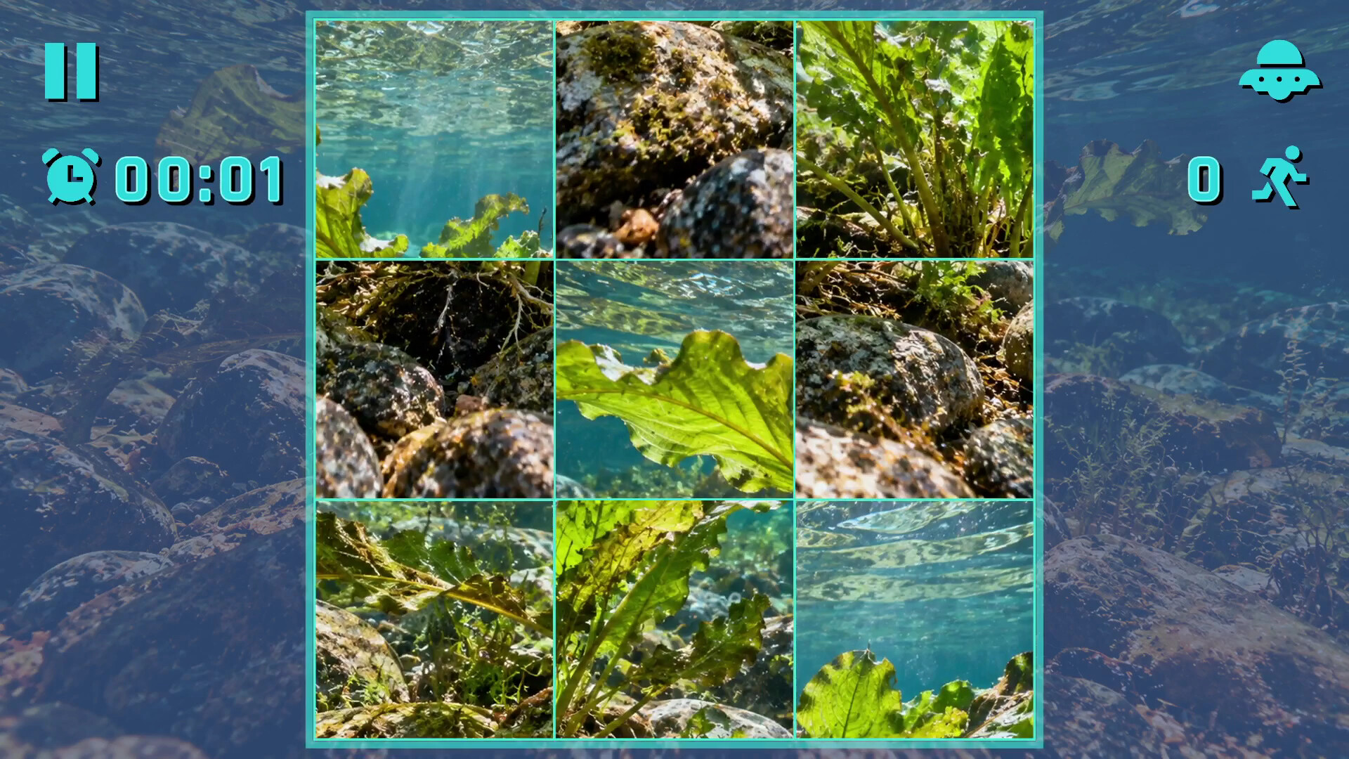 Puzzle Algae screenshot 1