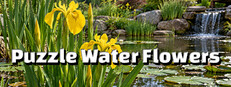 Puzzle Water Flowers Small Capsule Image