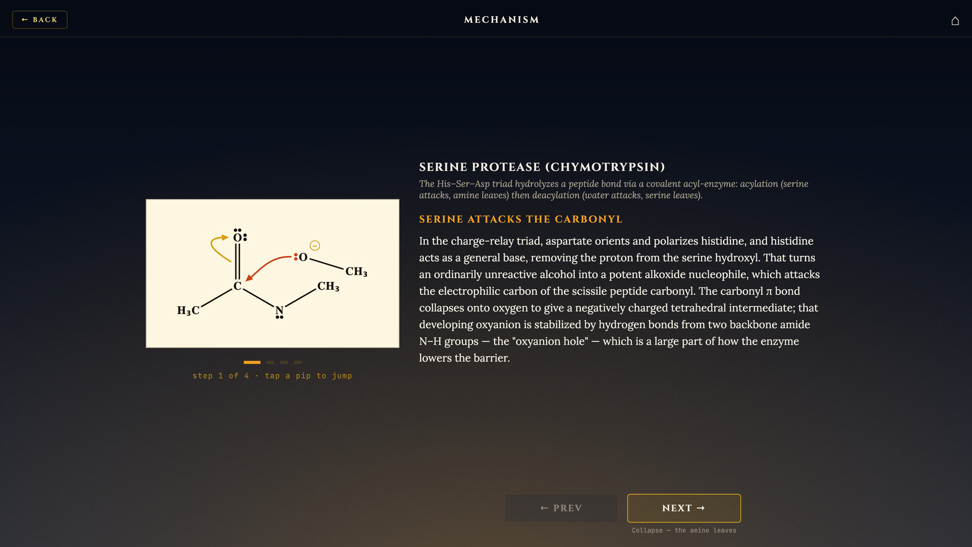 Total Biochem screenshot #7