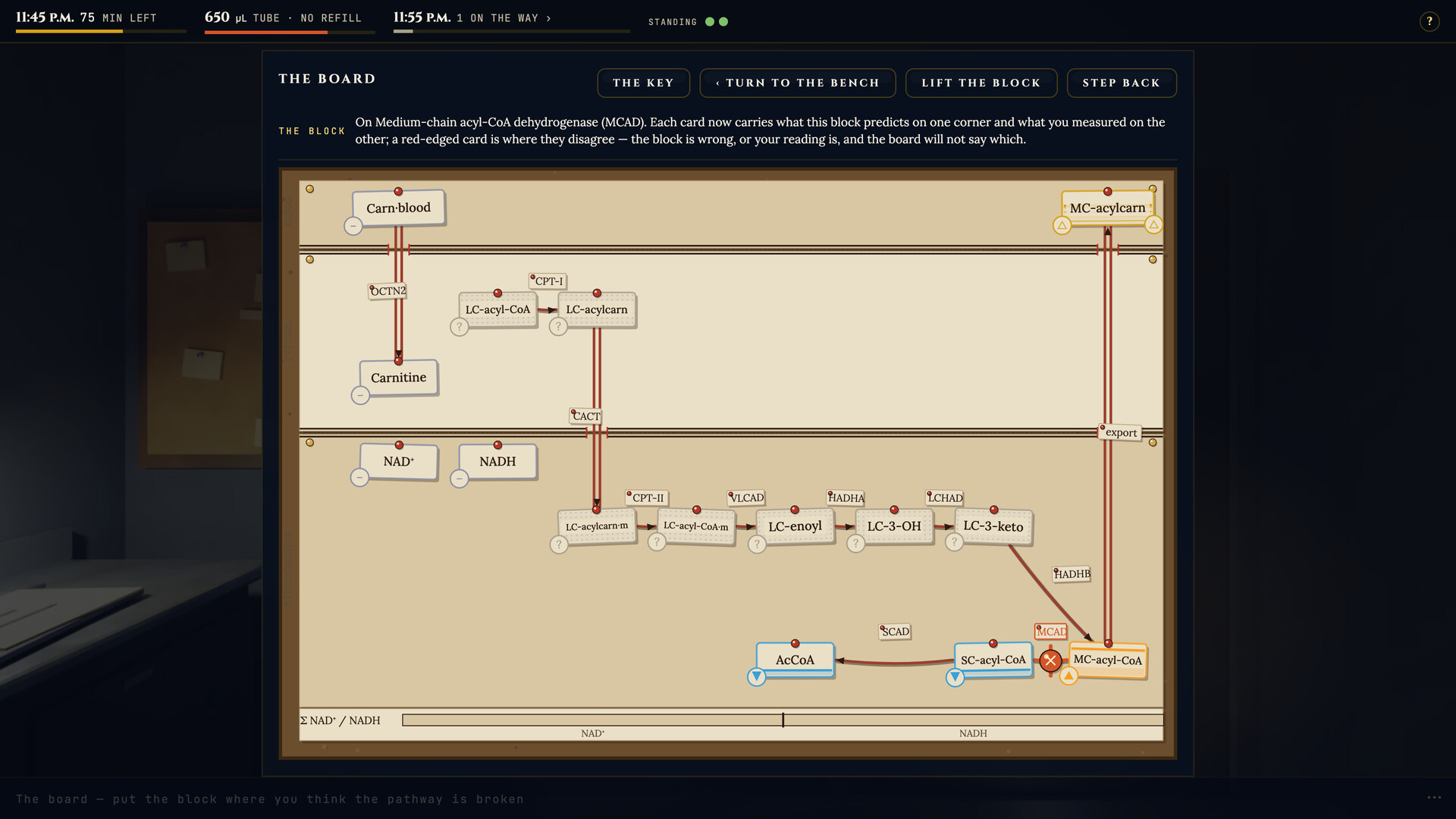 Total Biochem screenshot #2