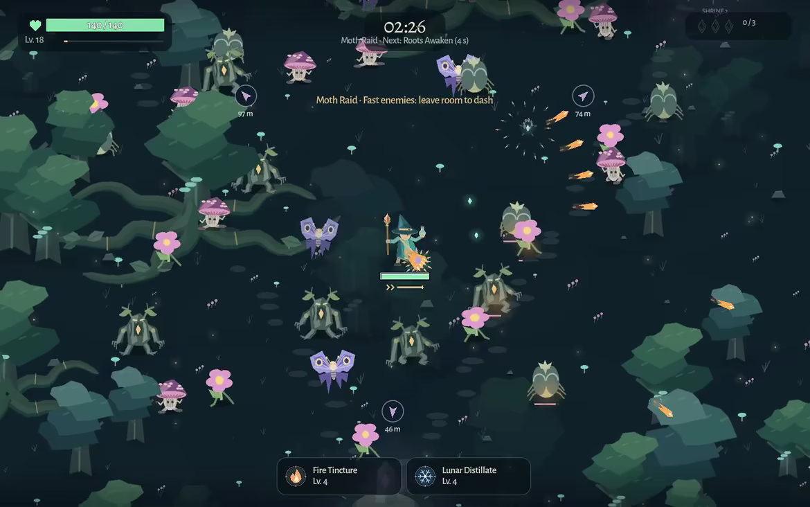Wildixir video 4