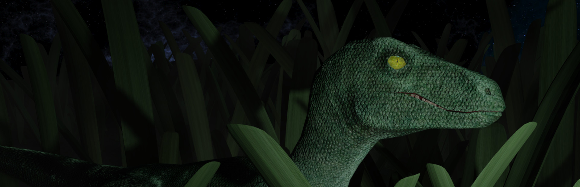 Raptor Valley