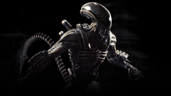 Full Size Image