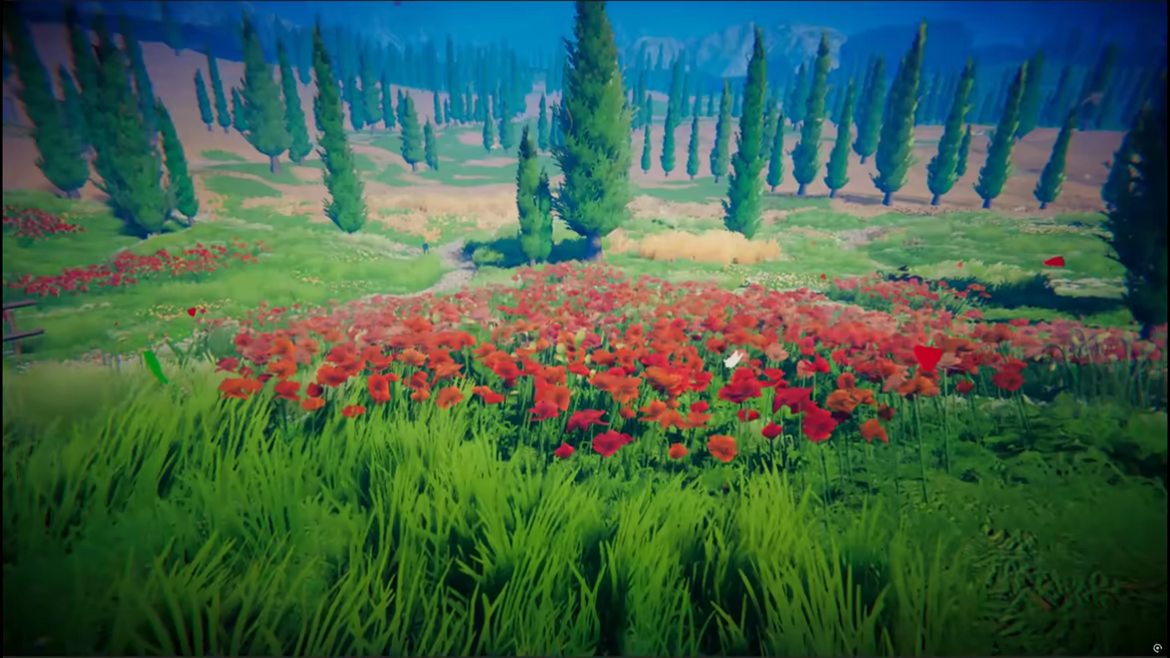 Anomalium video 1