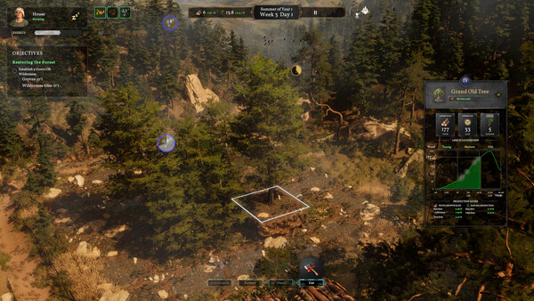 Forester Screenshot