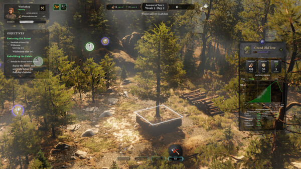 Forester Screenshot