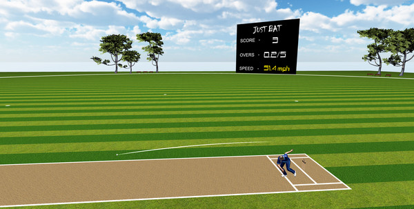 JUST BAT (VR CRICKET)