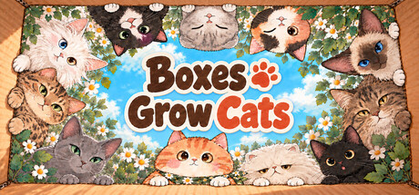 Boxes Grow Cats