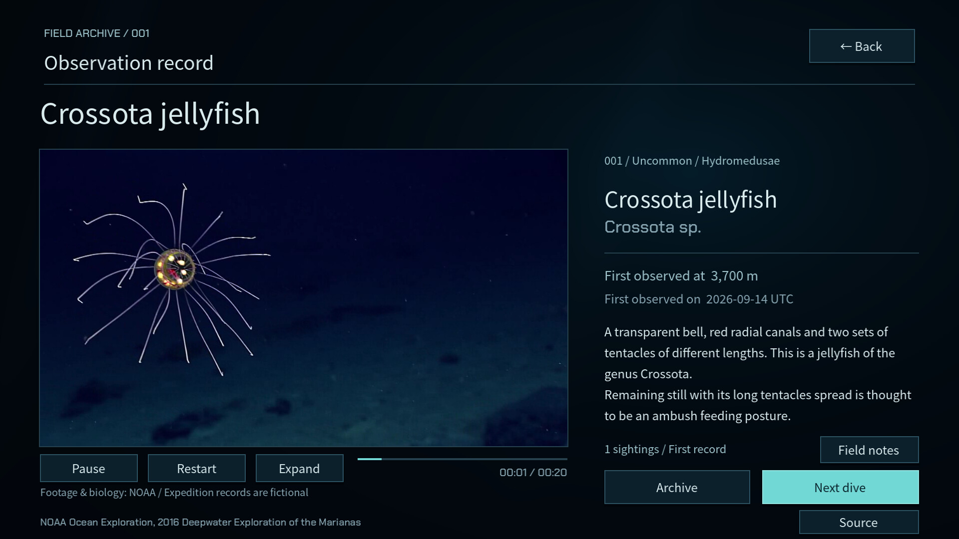 DEEP BLUE CONTACT screenshot #3