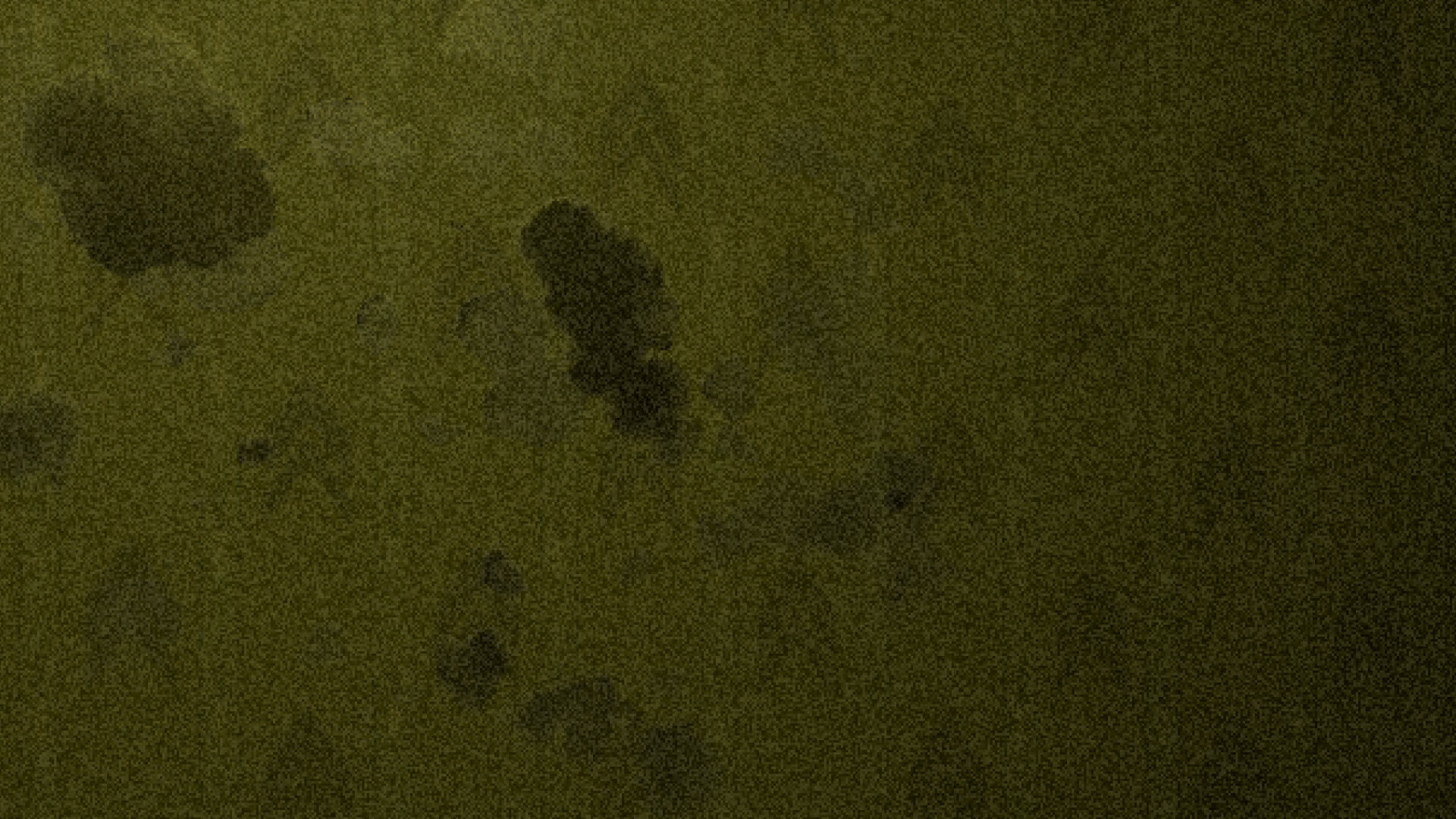 Backrooms Duck Edition screenshot #5