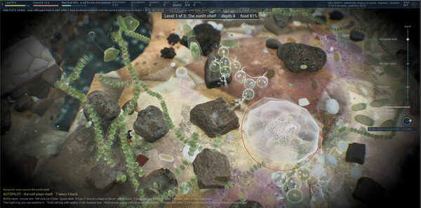 Clade screenshot 4
