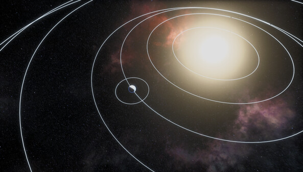 Clade screenshot 12