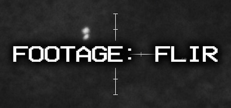 Poster Footage: FLIR