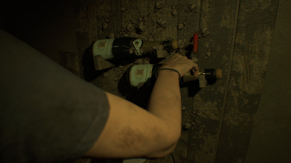 screenshot7
