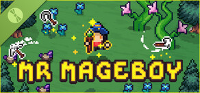 MR MAGEBOY Demo