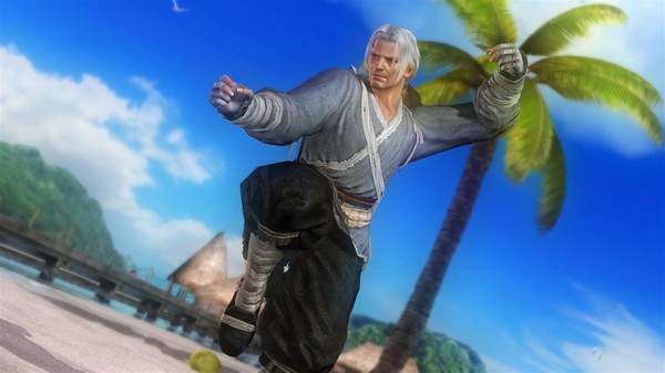 DEAD OR ALIVE 5 Last Round: Core Fighters Character: Brad Wong