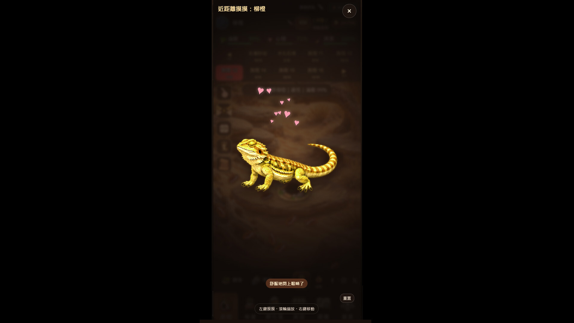 Bearded Dragon Nursery screenshot #4